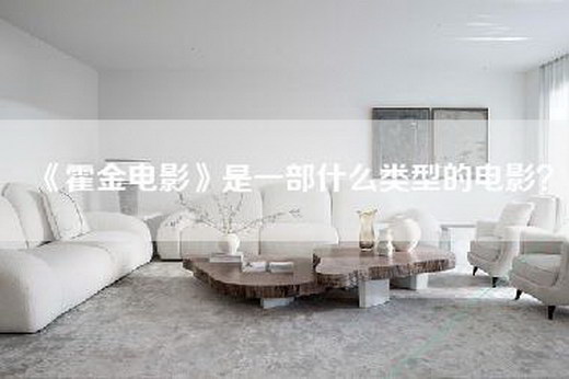 《霍金电影》是一部什么类型的电影？