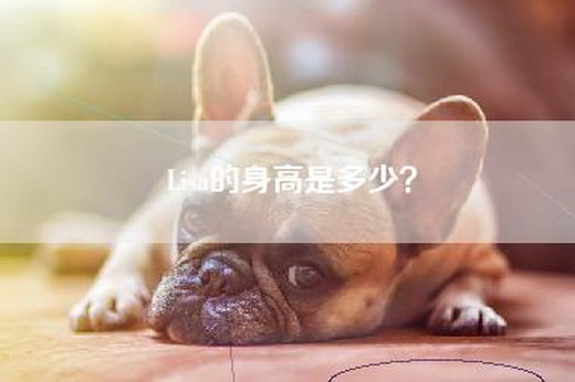 Lisa的身高是多少？