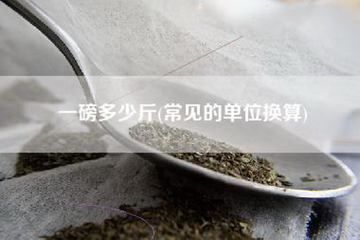 一磅多少斤(常见的单位换算)