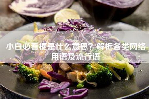 小白必看梗是什么意思？解析各类网络用语及流行语