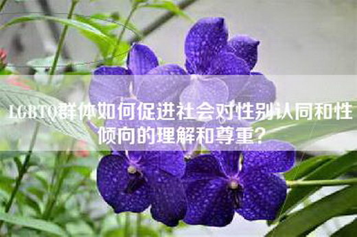 LGBTQ群体如何促进社会对性别认同和性倾向的理解和尊重？