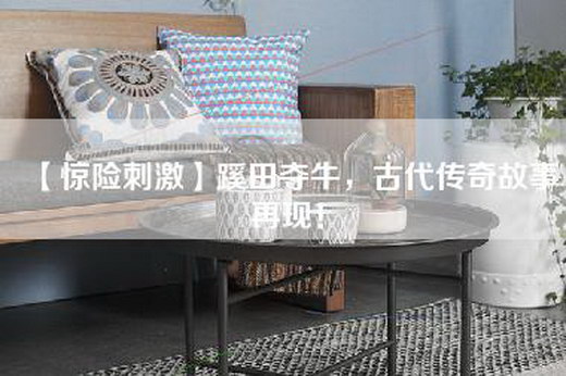 【惊险刺激】蹊田夺牛，古代传奇故事再现！