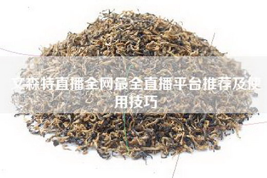 文森特直播全网最全直播平台推荐及使用技巧