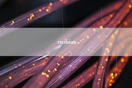 cushion