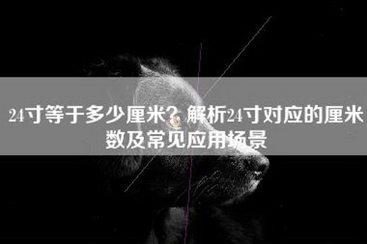 24寸等于多少厘米？解析24寸对应的厘米数及常见应用场景