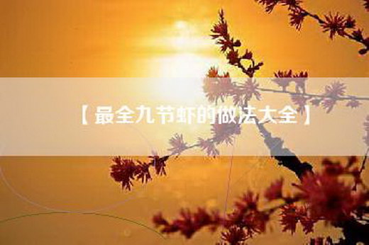 【最全九节虾的做法大全】
