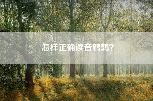 怎样正确读音鹌鹑？