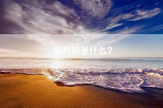 重机枪是什么？