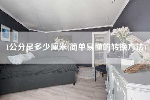 1公分是多少厘米(简单易懂的转换方法)