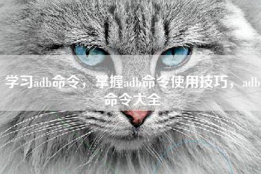 学习adb命令，掌握adb命令使用技巧，adb命令大全