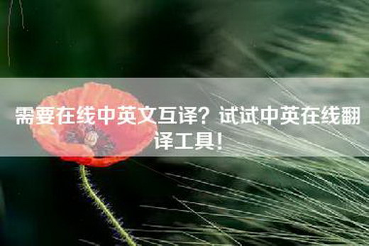 需要在线中英文互译？试试中英在线翻译工具！
