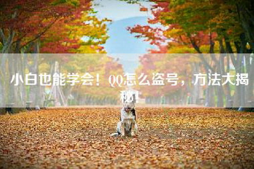 小白也能学会！QQ怎么盗号，方法大揭秘！