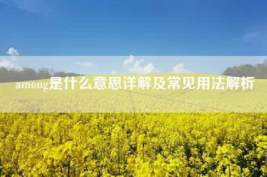 among是什么意思详解及常见用法解析