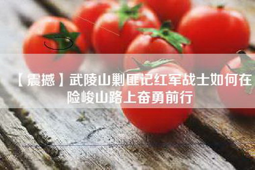 【震撼】武陵山剿匪记红军战士如何在险峻山路上奋勇前行