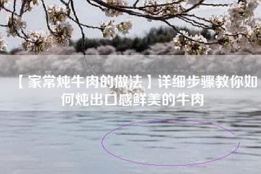 【家常炖牛肉的做法】详细步骤教你如何炖出口感鲜美的牛肉
