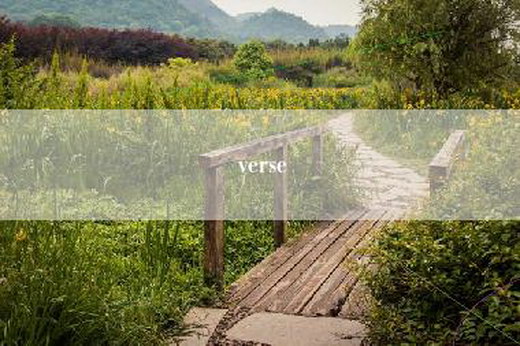 verse