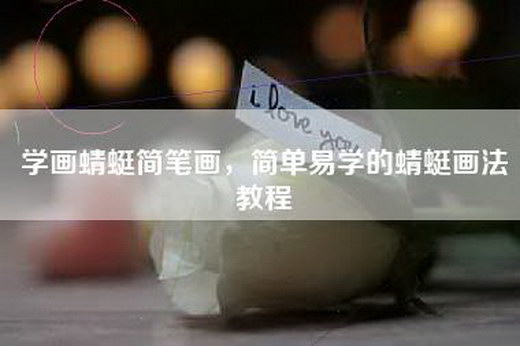 学画蜻蜓简笔画，简单易学的蜻蜓画法教程