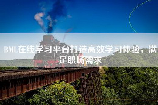 BML在线学习平台打造高效学习体验，满足职场需求