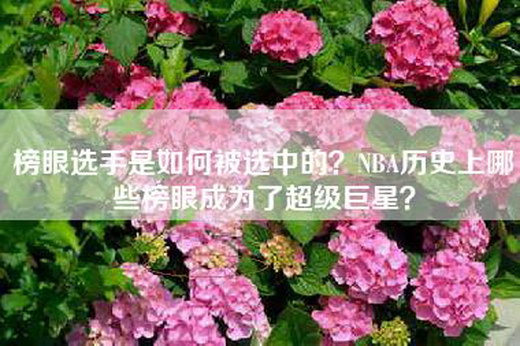 榜眼选手是如何被选中的？NBA历史上哪些榜眼成为了超级巨星？