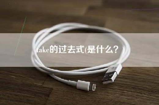 take的过去式(是什么？)
