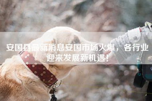 安国县最新消息安国市场火爆，各行业迎来发展新机遇！
