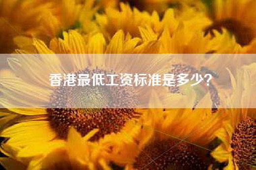 香港最低工资标准是多少？