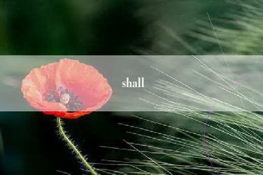 shall