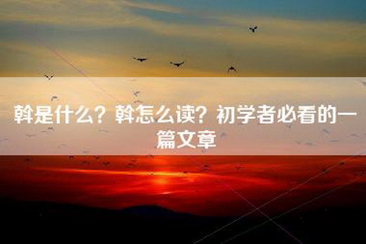 斡是什么？斡怎么读？初学者必看的一篇文章