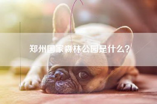 郑州国家森林公园是什么？