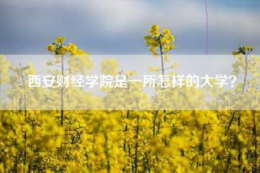 西安财经学院是一所怎样的大学？
