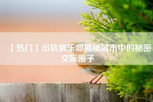 【热门】出轨俱乐部揭秘城市中的秘密交际圈子