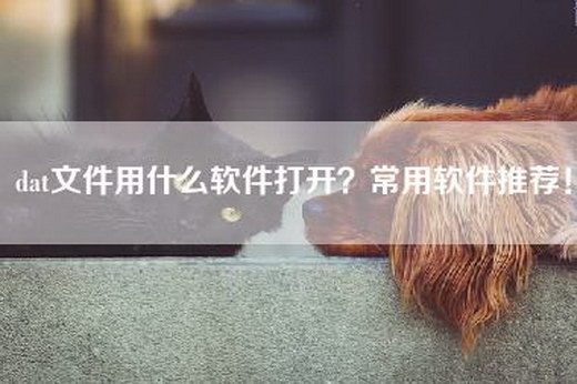 dat文件用什么软件打开？常用软件推荐！