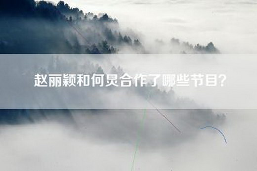 赵丽颖和何炅合作了哪些节目？
