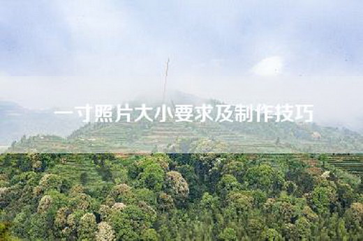 一寸照片大小要求及制作技巧