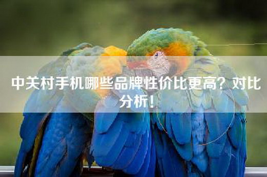 中关村手机哪些品牌性价比更高？对比分析！