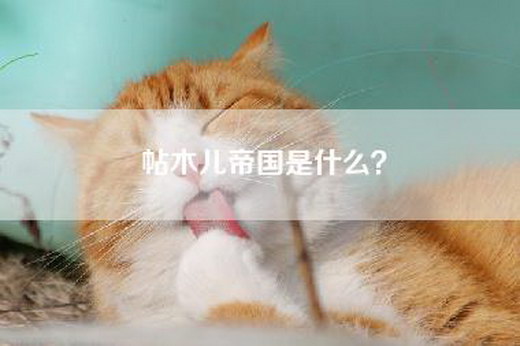 帖木儿帝国是什么？