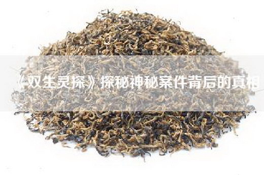 《双生灵探》探秘神秘案件背后的真相