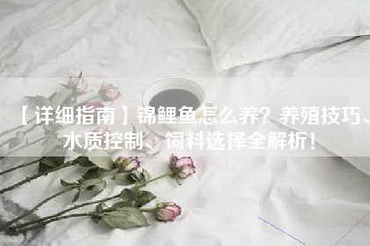 【详细指南】锦鲤鱼怎么养？养殖技巧、水质控制、饲料选择全解析！