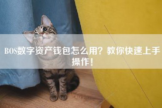 BOS数字资产钱包怎么用？教你快速上手操作！