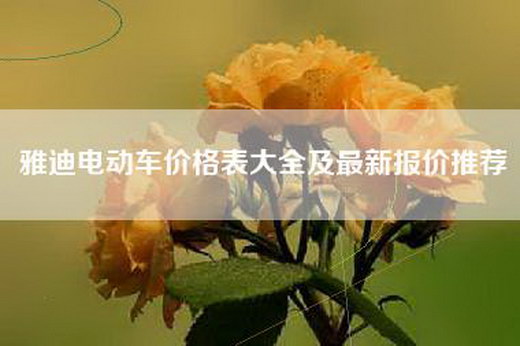 雅迪电动车价格表大全及最新报价推荐