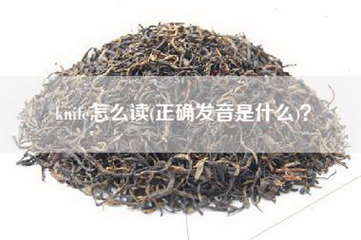 knife怎么读(正确发音是什么)？