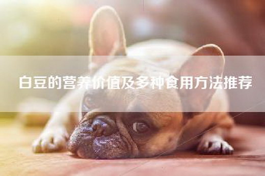 白豆的营养价值及多种食用方法推荐