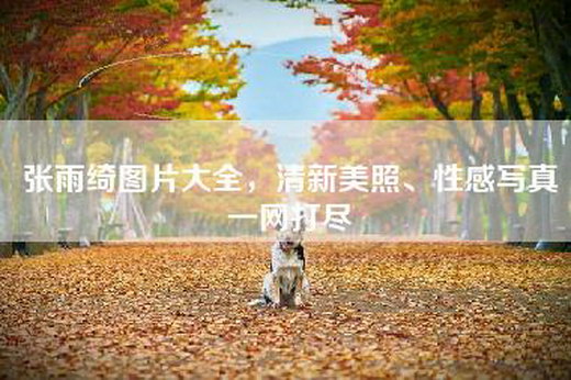 张雨绮图片大全，清新美照、性感写真一网打尽