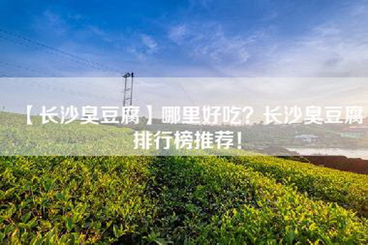 【长沙臭豆腐】哪里好吃？长沙臭豆腐排行榜推荐！