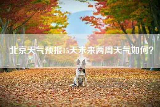 北京天气预报15天未来两周天气如何？