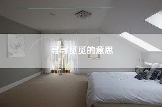 寻寻觅觅的意思