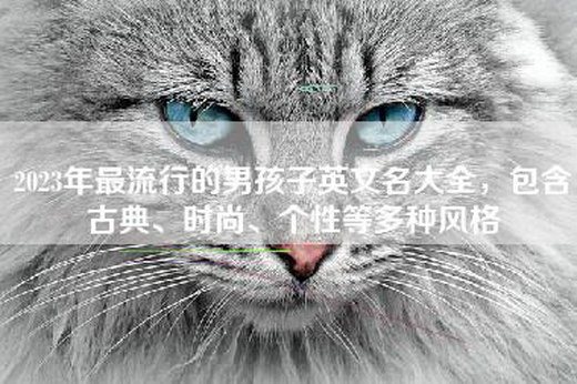 2023年最流行的男孩子英文名大全，包含古典、时尚、个性等多种风格