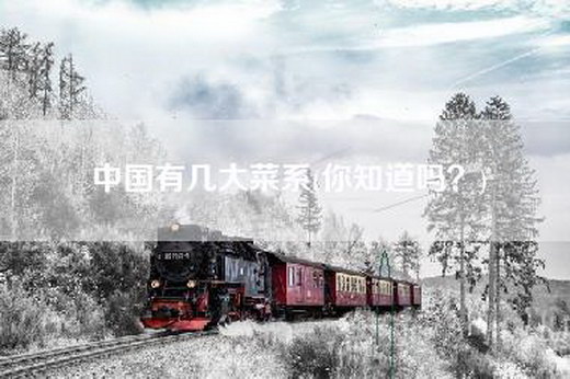 中国有几大菜系(你知道吗？)