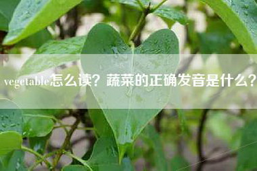 vegetable怎么读？蔬菜的正确发音是什么？