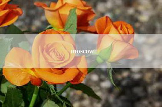 moscow